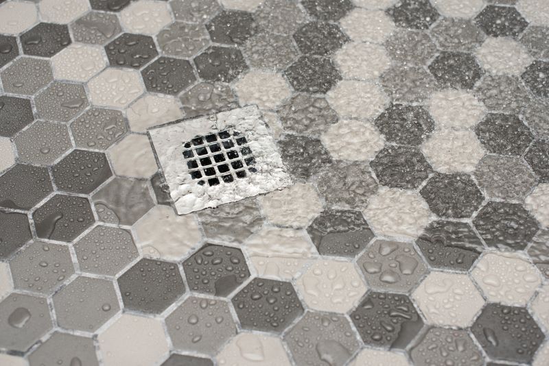 Remove Excess Water